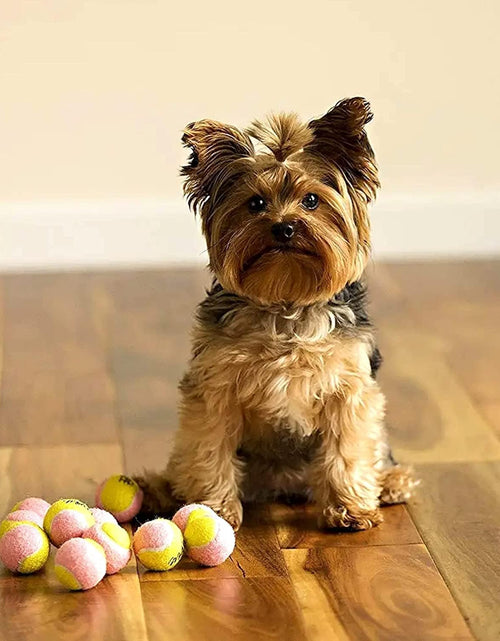 Load image into Gallery viewer, X-Small Dog Tennis Balls 1.5" Pack of 12- Puppy Mini Fetch Pet Little Tennis Balls -Yellow/Pink
