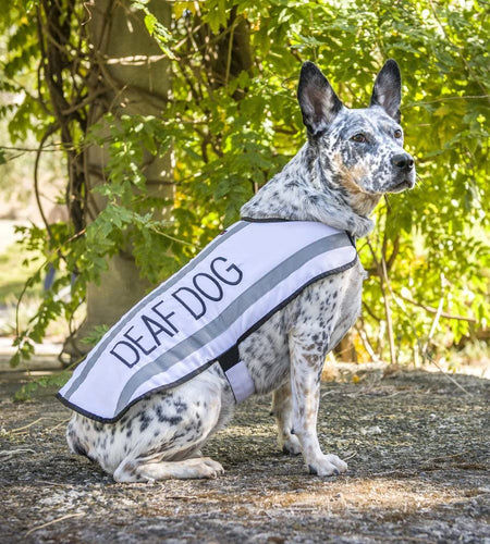 Deaf Dog White Warm Dog Coats S M M L L XL Waterproof Reflective Fleece Lined Prevents Accidents by Warning Others of Your Dog in Advance (M-L Back 17" (43Cm)