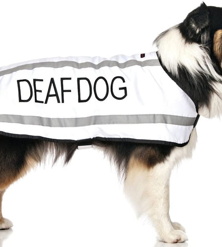 Deaf Dog White Warm Dog Coats S M M L L XL Waterproof Reflective Fleece Lined Prevents Accidents by Warning Others of Your Dog in Advance (M-L Back 17" (43Cm)