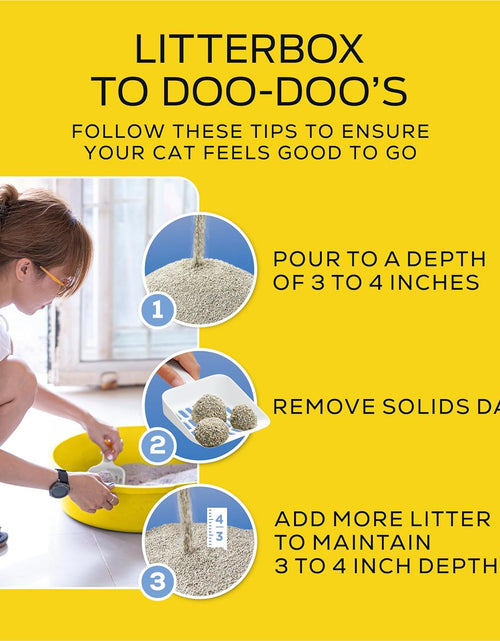 Load image into Gallery viewer, Purina  Lightweight 4-In-1 Strength Clumping Cat Litter
