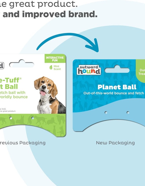 Load image into Gallery viewer, Orbee-Tuff Planet Ball Blue/Green Treat-Dispensing Dog Toy, Medium
